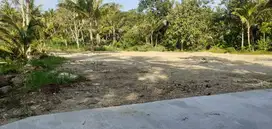 Kawasan Pekerja Tanah Dekat Exit Tol Sentolo Cocok Bangun Kos