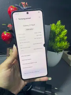 SAMSUNG Z FLIP 4 RAM 8/512GB ORIGINAL SEIN NORMAL