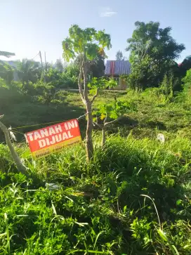 Dijual tanah/disewakan dipinggir jln utama