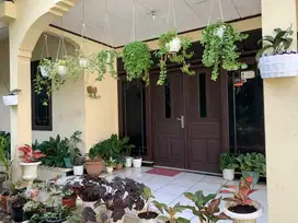 Jual Rumah Mainroad Cibiru Bandung