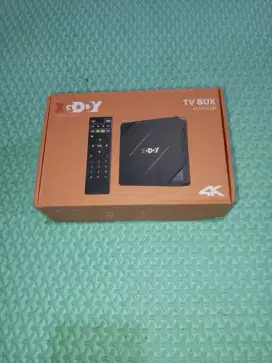Stb android bisa yutub netflix
