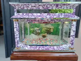 Aquarius mini istana