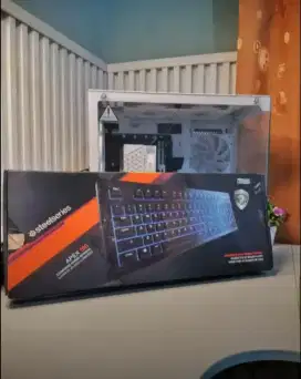 pc keyboard gaming steelseries (rare item)