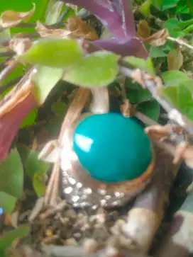 Bacan mumbul ring kuningan cor croom