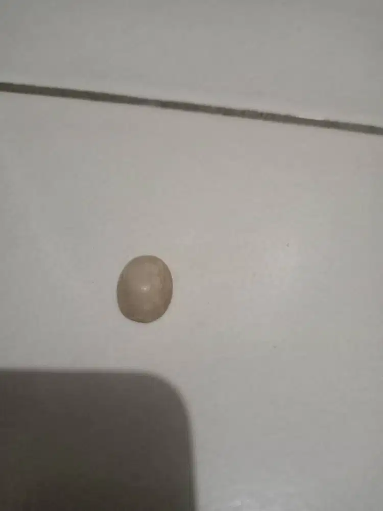 Cincin batu borongan