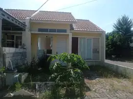 Rumah Di Perumahan Jade Hamlet Gresik