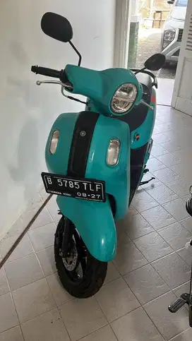 Jual Fazzio 2022