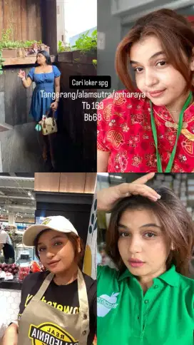 Cari lowongan kerja