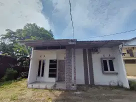 Rumah nipa-nipa antang