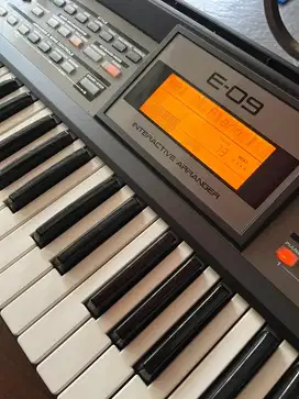 Keyboard Roland E09