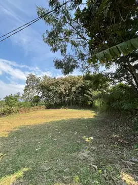Jual Tanah Locari Dau Dekat UMM & UIN SHM Siap Bangun Bisa Balik Nama