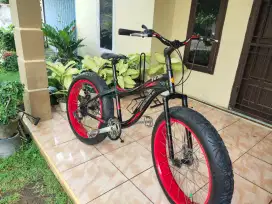 wimcycle fatman jumbo. Alloy size 26