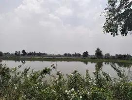 TANAH DI KELURAHAN POMAHANJANGGAN, TURI LAMONGAN