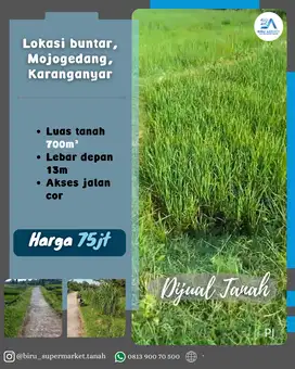 Tanah Sawah Lokasi Buntar Karanganyar