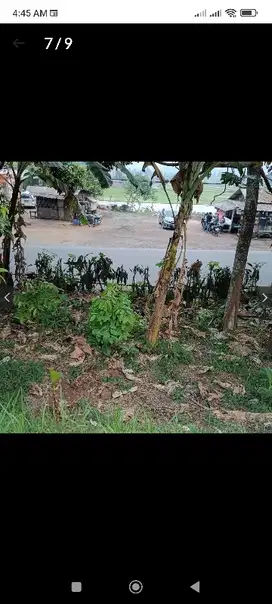 Tanah pinggir jln 400 Ribu per meter