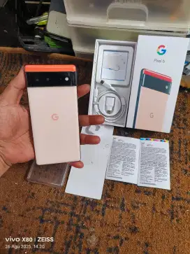 Google Pixel 6 256Gb Mulus Normal Bisa TT Pastinya