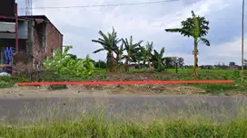 Tanah murah strategis luas 868m di Gatak Sukoharjo
