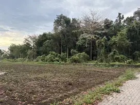 dekat UII Tanah Hook; Siap Bangun SHM