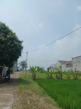 Tanah sawah murah produktif Nogosari Boyolali