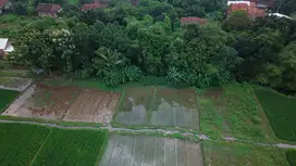 Dijual Tanah Sawah Produktif Luas 4270 m2 di Cirebon