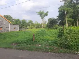Dijual tanah pekarangan.  Ds Purworejo Kec Pungging Mjk dekat eLKISI