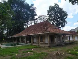 Tanah pogung sleman