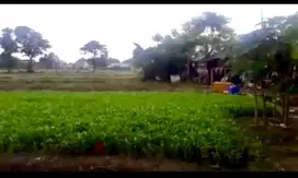 DIJUAL Tanah 1.5Ha SHM di Cimone Tangerang