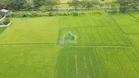 Jual Tanah di Jalan Raya Merak, Sukamulya - Tangerang, Banten
