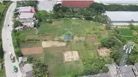 Jual Tanah di Jalan Raya Cikande-Rangkas Bitung, Serang, Banten
