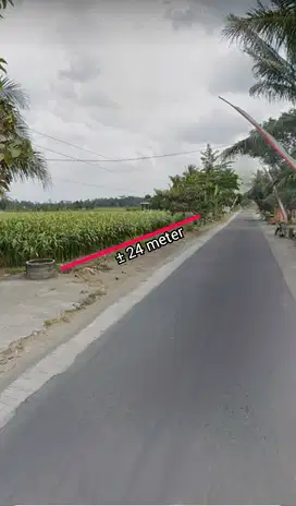 JUAL TANAH SAWAH DEKAT SPBU BANGSRI BLITAR