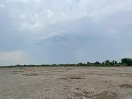 Sewa Lahan utk Parkir Alat Berat Gresik dekat Pel. Teluk Lamong