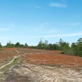 Kavling tanah belakang Kampus UIN Mendalo