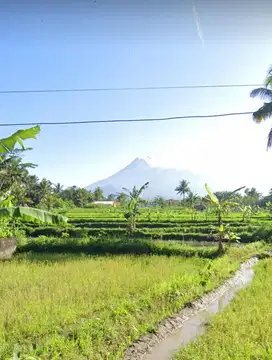 Tanah Murah SHM  View Gunung Merapi