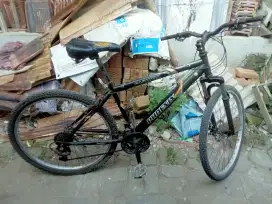 Phoenix fashion siap gowes