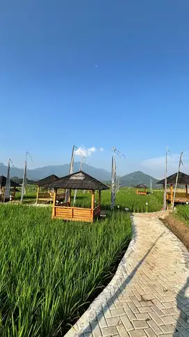 Miliki kavling sawah di bogor timur