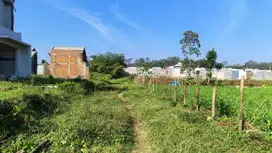 tanah dekat kampus dan tol hanya 90juta