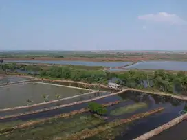 Dijual Tanah empang bekasi