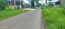 Tanah 200rb an Lahan Strategis Zona Kuning Di Wagir dekat Kebonagung