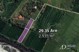 FREEHOLD BEACHFRONT LAND IN PEKUTATAN (3,000 M2) IN TOURISM ZONE