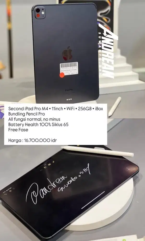 ipad pro m4 256 wifi only