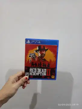 Red Dead Redemption 2 Region All