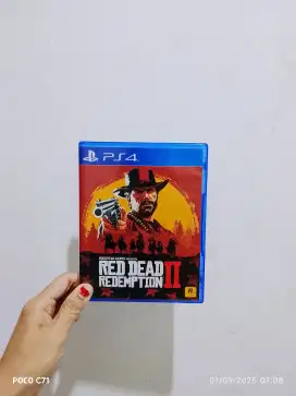 Red dead redemption 2 Region 3