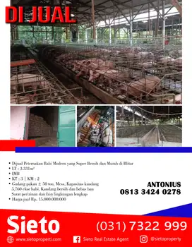 Dijual Peternakan Babi Modern yang Super Bersih dan Murah di Blitar