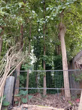 Dijual 2 Kavling Murah Siap Bangun Di Kavling DKI Meruya Jakarta