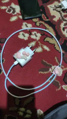 Original Charger Iphone type C to C