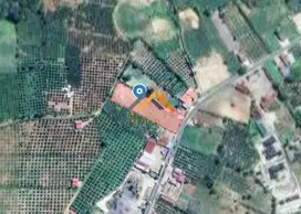 Jual Tanah Kosong Daerah Tongging Jalan Besar Kabanjahe Merek - karo