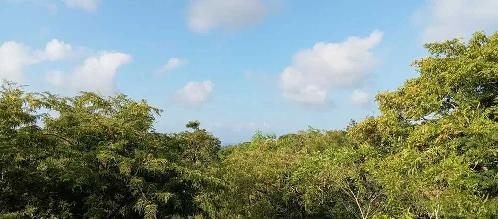 Dikontrakkan Tanah View Laut di Kutuh Kuta Selatan