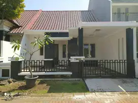 DISEWAKAN RUMAH PURIMAS - BARU RENOV - KOSONGAN