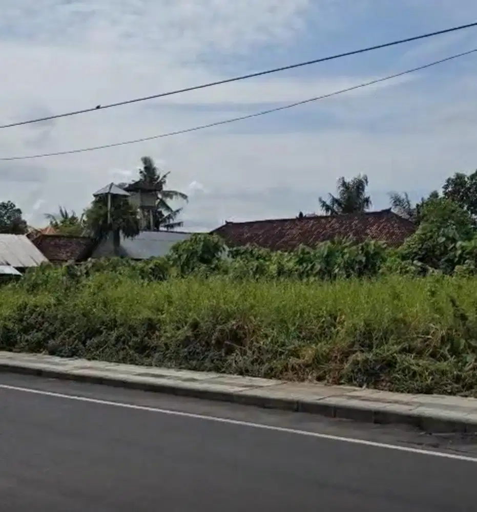 Dikontrakkan Tanah 7 Are di Pinggir Jalan Utama Angantaka