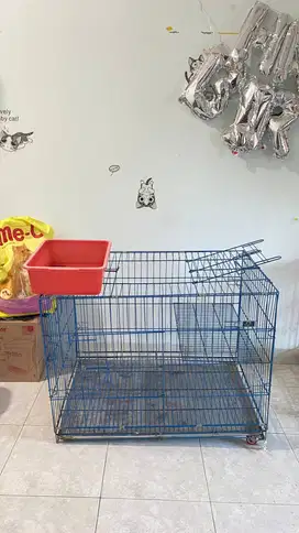 kandang kucing besar